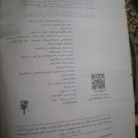 خیلی سبز انسانی|کتاب و مجله آموزشی|رشت, یخسازی|دیوار