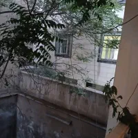 همخونه-خانم-همخانه