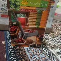 هسته گیر آلو