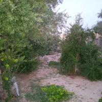 فروش باغچه ۱۷۰۰متری|فروش خانه و ویلا|شیراز, کرونی(خاتونک)|دیوار