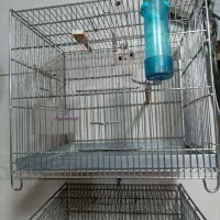 قفس سهره وقناری