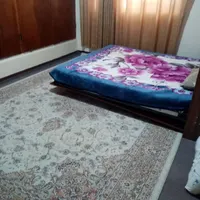 اجاره روزانه مرکز شهر. امشب خالیه
