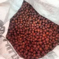 عناب|خوردنی و آشامیدنی|چناران, |دیوار