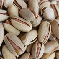 پسته احمد آقایی اکبری در هم