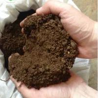 کود گوسفندی