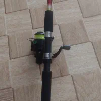 لنسرماهیگیری