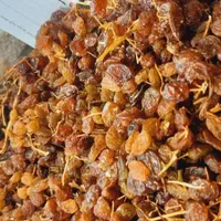 کشمش گله درگز قوچان کاشمر وخرماضایعات