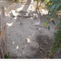 واگذاریدوستان