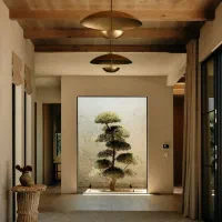 گیاهان خاص آپارتمانی