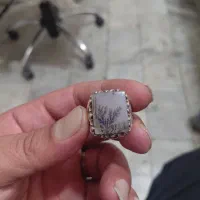 انگشتر شجر فدیوم قاسمی