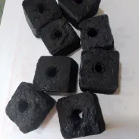 زغال بامبو (جکسون) صادراتی