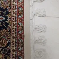 فرش خاطره کاشان|فرش|پرند, فاز ۴|دیوار