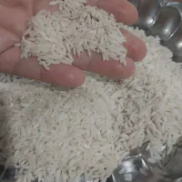 برنج طارم هاشمی