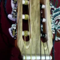 گیتار آریا|گیتار، بیس، امپلیفایر|سبزوار, امیریه|دیوار