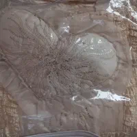 روتختی ساتن