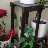 استند گل|گل و گیاه طبیعی|ایذه, |دیوار