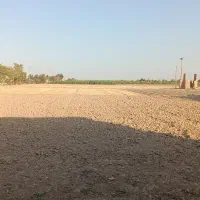 فروش زمین زراعی