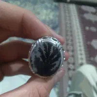 یه عدد انگشتر شجر قیمت مناسب