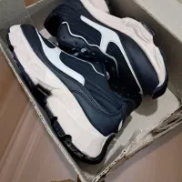 کفش نو|کیف، کفش، کمربند|اردبیل, |دیوار