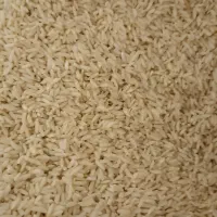 برنج سالم محلی