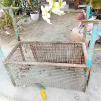 درب لونه پرنده ی با قفس|پرنده|میناب, |دیوار