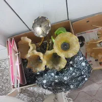 سلام سه عددلوستر|لوستر و چراغ آویز|اصفهان, گلستان|دیوار