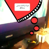 پرنده مینا افغان   دستی ۳ماه