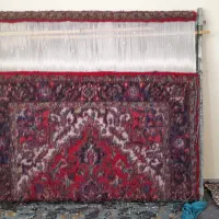 دوتا فرش ۶متری ۶۱۰ المح ۹۵۰ لای هست
