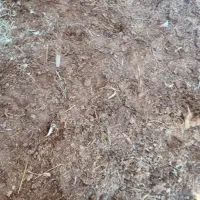 کود درجه یک گاوی و گوسفند هر مقدار بخواهید