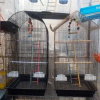 قفس های زینتی برای پرندگان زینتی