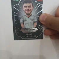 کیمدی سیلور لمیتید(پدری)