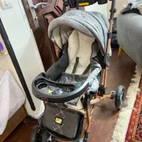 کالسکه دلیجان نو نو