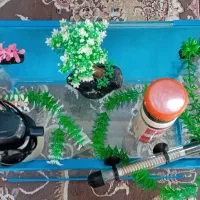 اکواریوم با لوازم