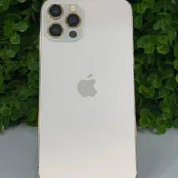 اپل iPhone 12 Pro با حافظهٔ ۲۵۶ گیگابایت|موبایل|کرج, مهرویلا جنوبی|دیوار