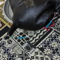 روغن حیوانی با گوسفند