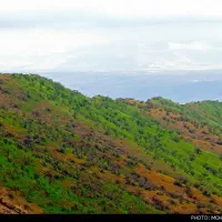 تور نیم روز