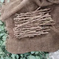 پیوند تخصصی پسته و توت