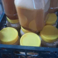 عسل کنار درجه یک
