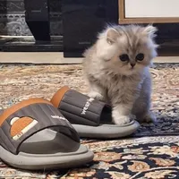بچه گربه ۲ماهه