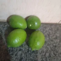 لیمو سنگی
