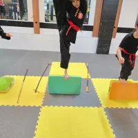 آموزش هنر رزمی نینجوتسو