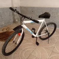 دوچرخه 26 تنه بزرگ