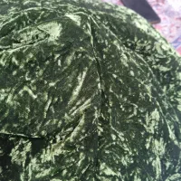 پارچه مخمل ابریشم|لباس|یاسوج, |دیوار