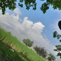 خدمات بنایی