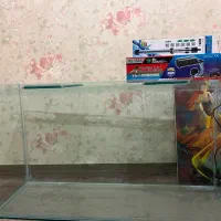 آکواریوم|ماهی|دوگنبدان, |دیوار