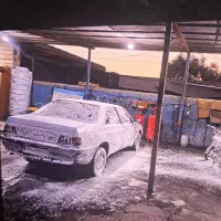 واگذار کارواش