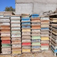 کندوی زنبور عسل همراه با طبقه و رمکه|ابزارآلات|هیر, |دیوار