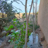 باغ-و-باغچه-چهاردیواری