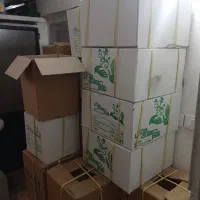 فروش گلدان عمده