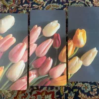تابلو سه تکه